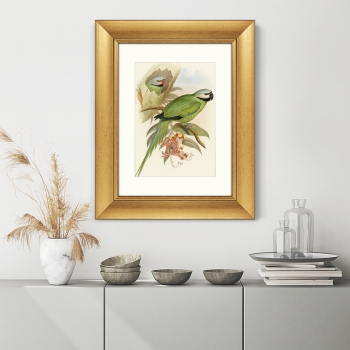 Постер Love parrots 41X51 CM