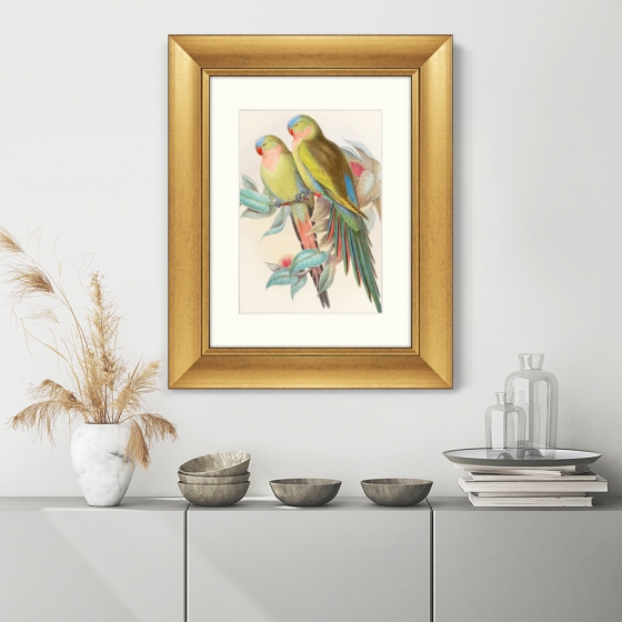 Постер Love parrots 41X51 CM 3