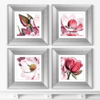 Четыре постера Himalaya Plants Pink-Flower 36X36 / 36X36 / 36X36 / 36X36 CM