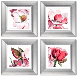 Четыре постера Himalaya Plants Pink-Flower 36X36 / 36X36 / 36X36 / 36X36 CM