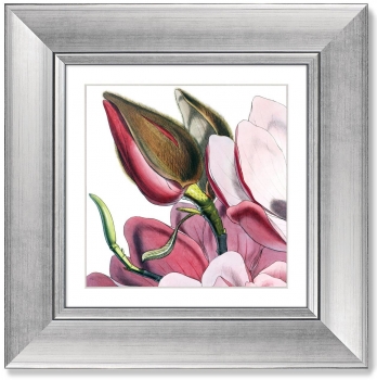 Четыре постера Himalaya Plants Pink-Flower 36X36 / 36X36 / 36X36 / 36X36 CM