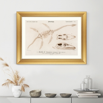Постер Plesiosaurus 81X61 CM 