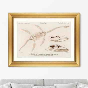 Постер Plesiosaurus 81X61 CM 