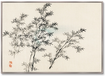Постер Bamboo 105X75 CM