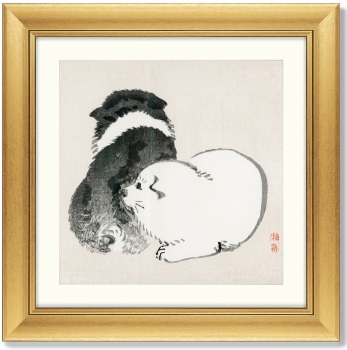 Постер Black and white puppies 61X61 CM