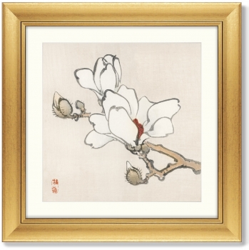 Диптих Blossoms 61X61 / 61X61 CM