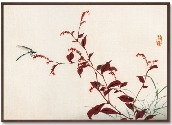 Постер Dragonfly 105X75 CM