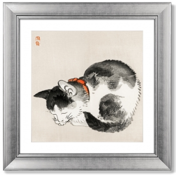 Постер Sleeping cat 61X61 CM