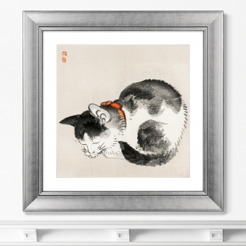 Постер Sleeping cat 61X61 CM