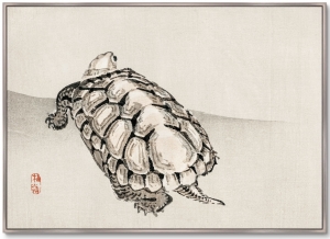 Постер Turtle 105X75 CM