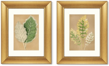 Диптих Cineraria Maritima 41X51 / 41X51 CM