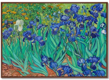 Постер Irises 105X75 CM