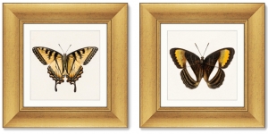 Диптих Two butterflies 36X36 / 36X36 CM