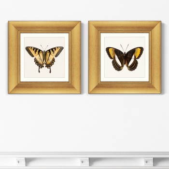 Диптих Two butterflies 36X36 / 36X36 CM