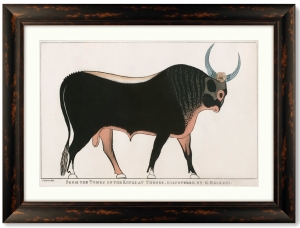 Постер The Apis Bull 81X61 CM