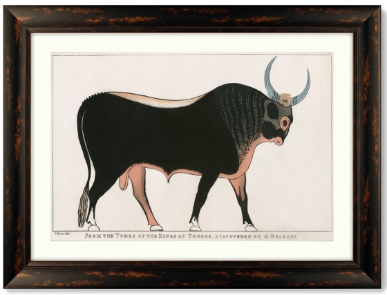 Постер The Apis Bull 81X61 CM 1