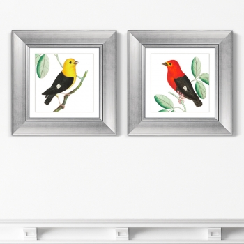 Диптих Red & Black manakins 36X36 / 36X36 CM 