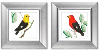 Диптих Red & Black manakins 36X36 / 36X36 CM 