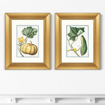 Диптих Cucumber & Melopepo 41X51 / 41X51 CM
