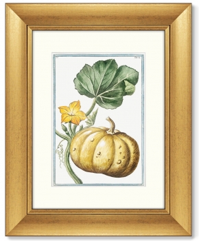 Диптих Cucumber & Melopepo 41X51 / 41X51 CM