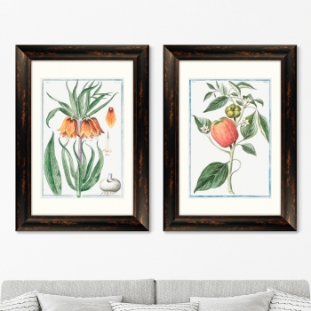 Диптих Flore pulchre rubente 51X71 / 51X71 CM
