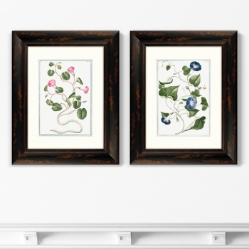 Диптих Botanical Maritimus 41X51 / 41X51 CM