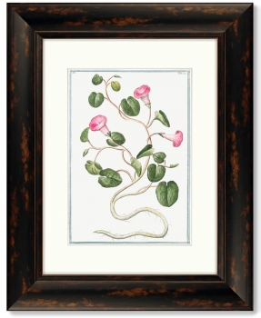 Диптих Botanical Maritimus 41X51 / 41X51 CM