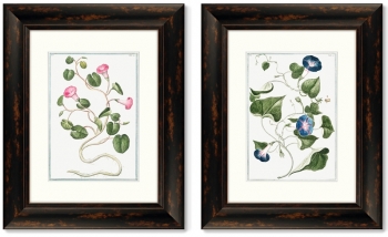 Диптих Botanical Maritimus 41X51 / 41X51 CM