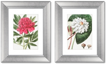 Диптих Peony 41X51 / 41X51 CM