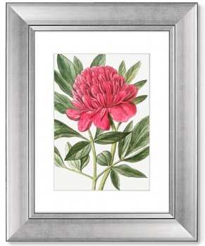 Диптих Peony 41X51 / 41X51 CM