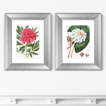 Диптих Peony 41X51 / 41X51 CM