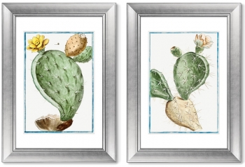 Диптих Semaphore Prickly Pear 51X71 / 51X71 CM