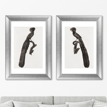 Диптих Magpie Birds of Paradise 51X71 / 51X71 CM