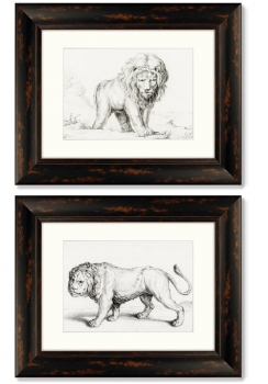Диптих Lions 51X41 / 51X41 CM