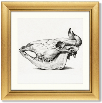 Постер Skull 61X61 CM