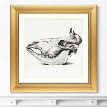 Постер Skull 61X61 CM