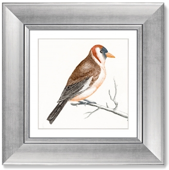 Диптих Goldfinches 36X36 / 36X36 CM
