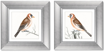 Диптих Goldfinches 36X36 / 36X36 CM