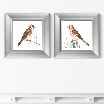 Диптих Goldfinches 36X36 / 36X36 CM