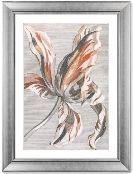 Постер Tulip 61X81 CM 1