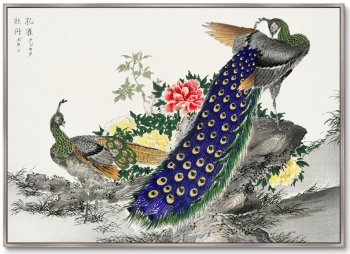 Постер Peacock and Peony 105X75 CM