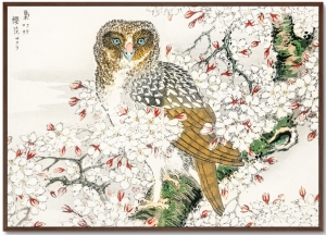 Постер Short eared Owl and Cherry Flower 