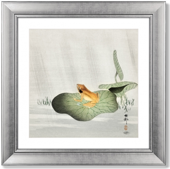 Постер Frog on lotus leaf 61X61 CM 1