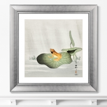Постер Frog on lotus leaf 61X61 CM