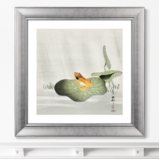 Постер Frog on lotus leaf 61X61 CM 2