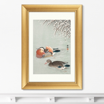Постер Mandarin ducks 51X71 CM