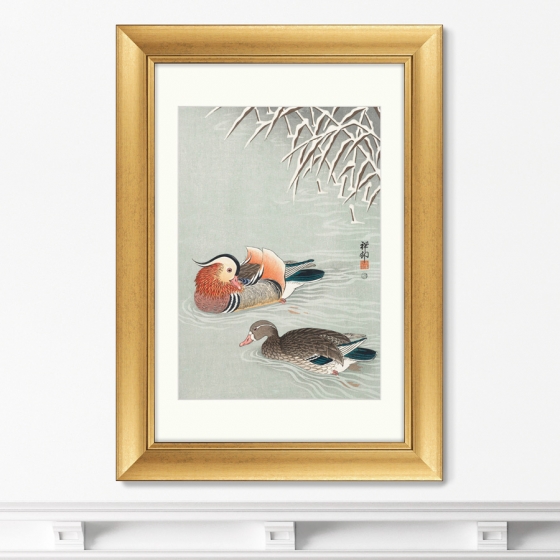 Постер Mandarin ducks 51X71 CM 2