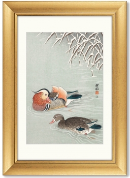 Постер Mandarin ducks 51X71 CM