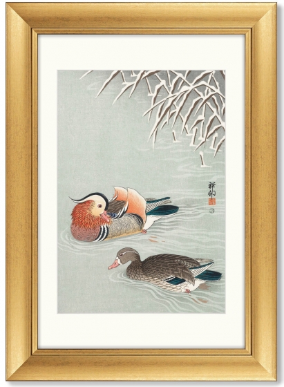 Постер Mandarin ducks 51X71 CM 1