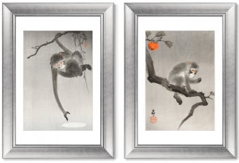 Диптих Monkey in cockatoo 51X71 / 51X71 CM